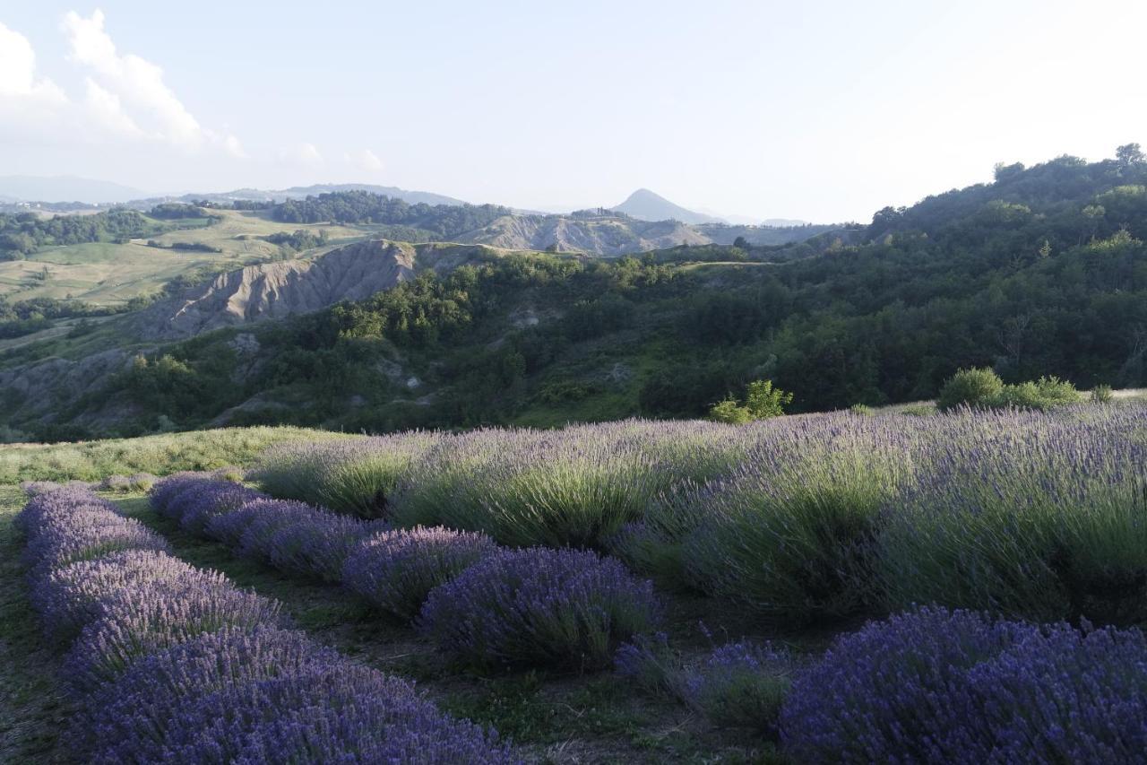 Casale Monte Valestra Bed & Breakfast Bebbio Exterior photo